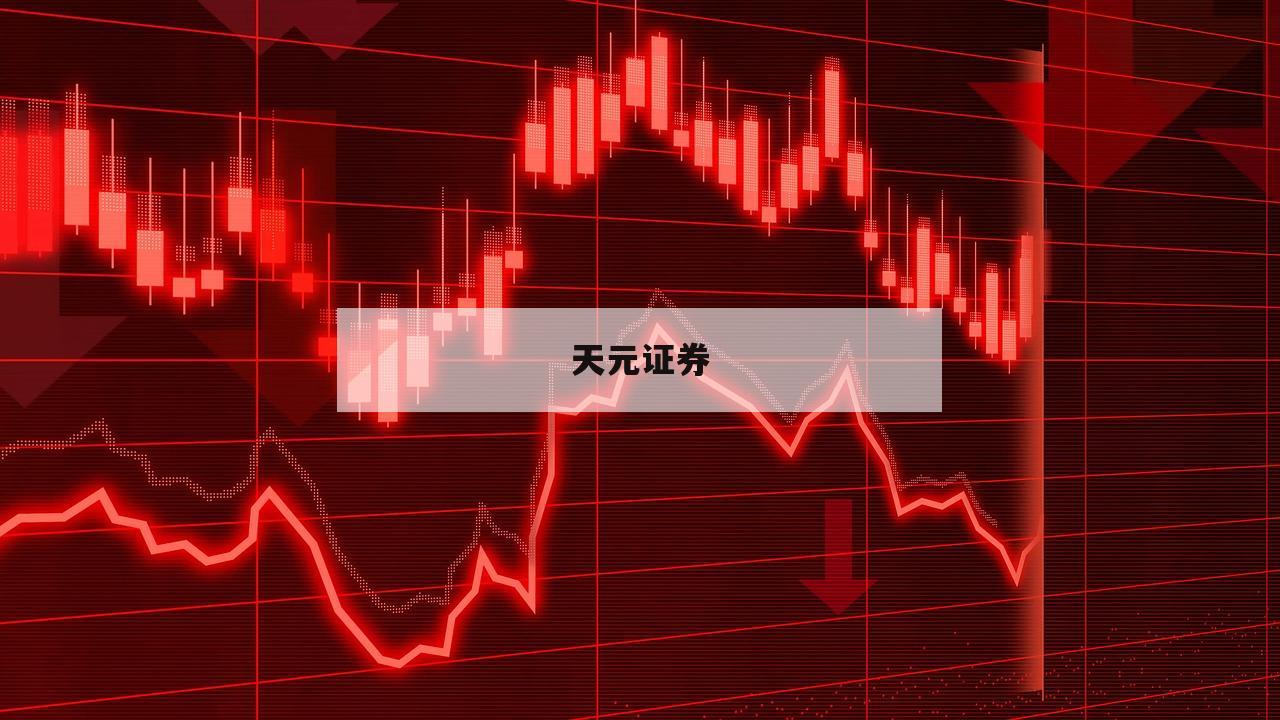 深度分析：配资网的优势与风险评估